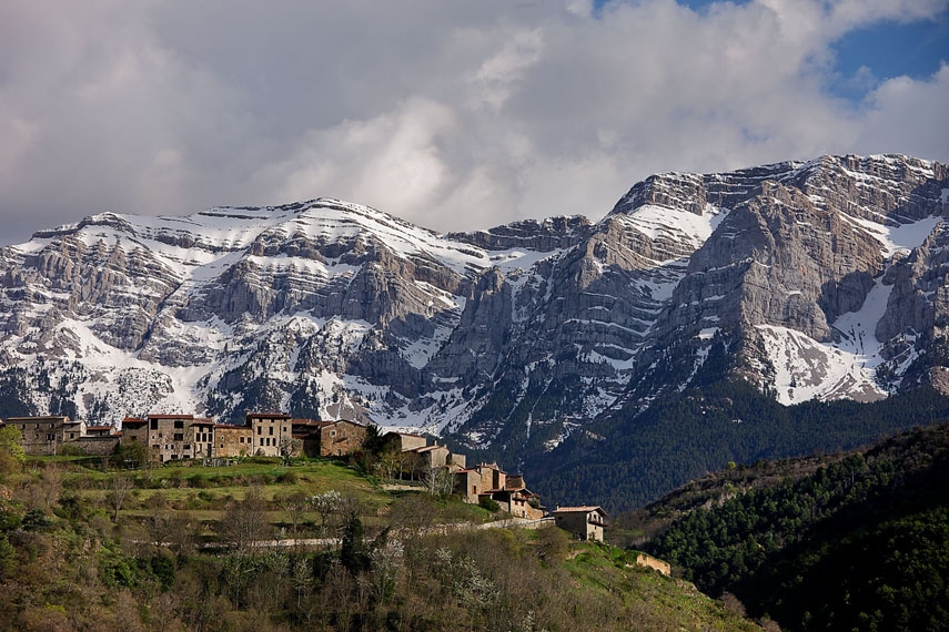arseguel (1)